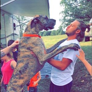 Meet your Posher, Gegerrit